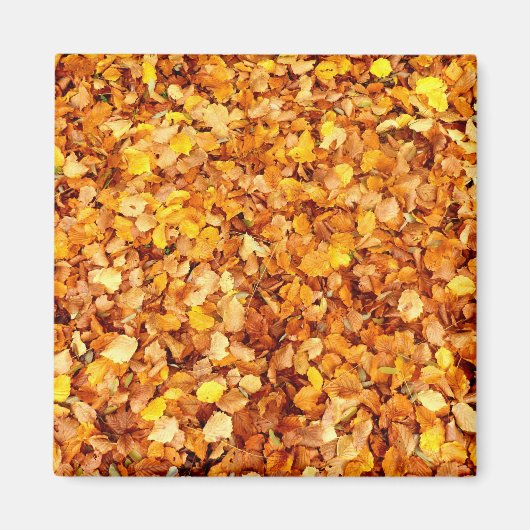Autumn Leaves Square Magnet Magneet (Voorkant)