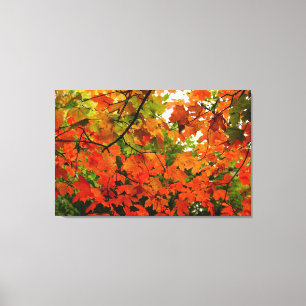 Autumn Leaves Wrapped Canvas Afdruk