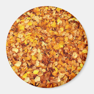 Autumn leest groots Ronde Magnet Magneet