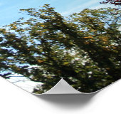 "Autumn Light" Poster (Hoek)