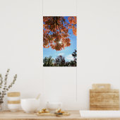"Autumn Light" Poster (Keuken)