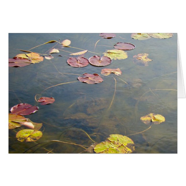 Autumn Lilypads reeks (Voorkant Horizontaal)