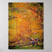 Autumn Magic Poster (Voorkant)