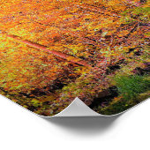 Autumn Magic Poster (Hoek)