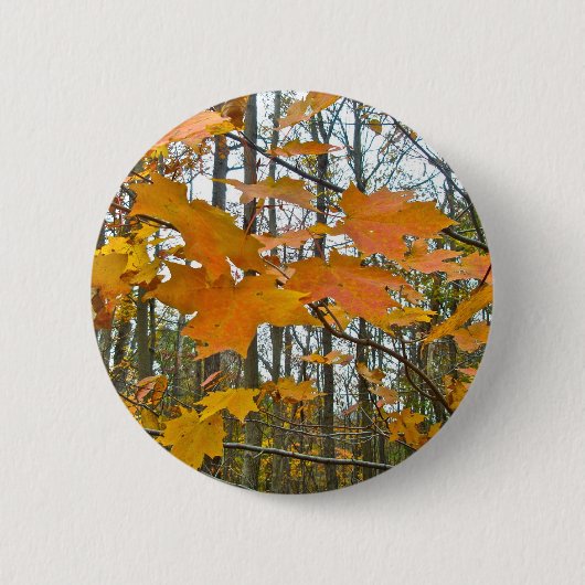 Autumn Maple Foliage Ronde Button 5,7 Cm (Voorkant)