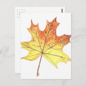 Autumn maple leaf briefkaart (Voorkant / Achterkant)