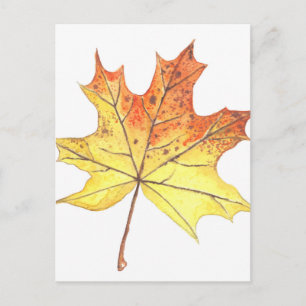 Autumn maple leaf briefkaart