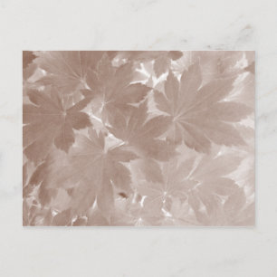 Autumn Maple Leaves Briefkaart