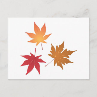 Autumn Maple Leaves Collectie Briefkaart