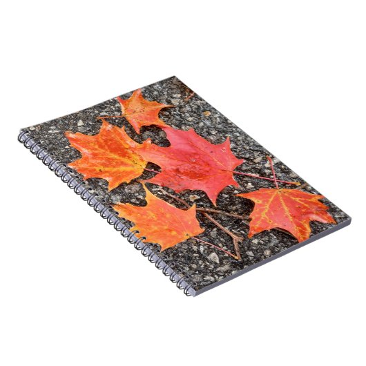 Autumn Maple Leaves Spiral Notebook Notitieboek (Rechterzijde)
