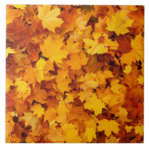 Autumn Maple Leaves Tegeltje