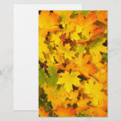 Autumn Maple leest scrapbook paper Briefpapier (Voorkant / Achterkant)