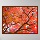 Autumn Maple Trees print Poster landschap (Voorkant)