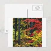Autumn Michigan Briefkaart (Voorkant / Achterkant)