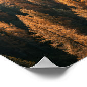 Autumn Mountain Uitzicht met gele larches Poster (Hoek)
