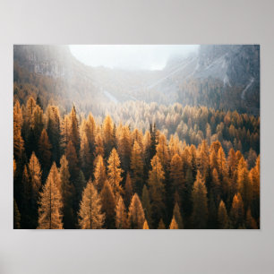 Autumn Mountain Uitzicht met gele larches Poster