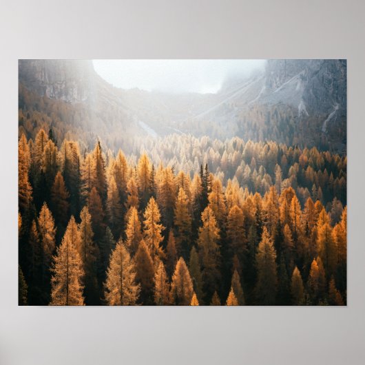 Autumn Mountain Uitzicht met gele larches Poster (Voorkant)