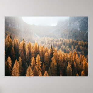Autumn Mountain Uitzicht met gele larches Poster