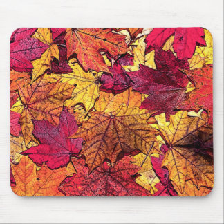 AUTUMN MUISMAT