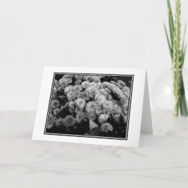 "Autumn Mums" Blank Wenskaart Kaart