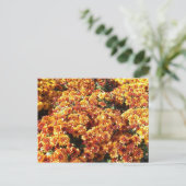 Autumn Mums Briefkaart (Staand voorkant)
