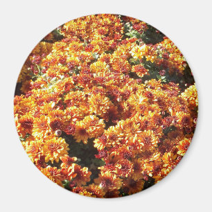 Autumn Mums Magneet
