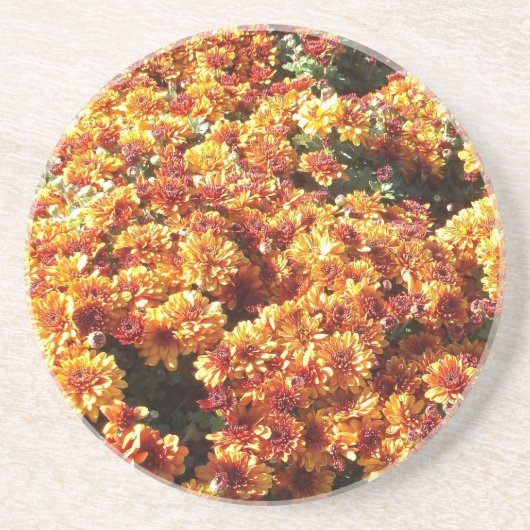 Autumn Mums Zandsteen Onderzetter (Voorkant)
