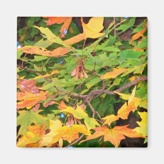 Autumn Oak Leaves Magnet Magneet (Voorkant)