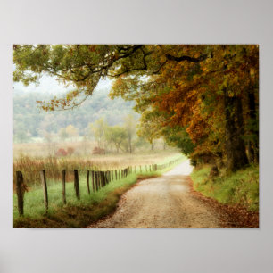 Autumn on a Country Road Poster
