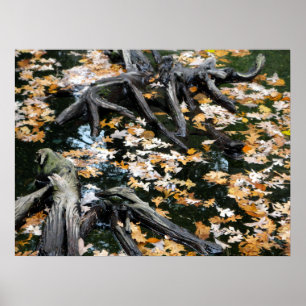 Autumn Otter Pond van Bladeren Poster