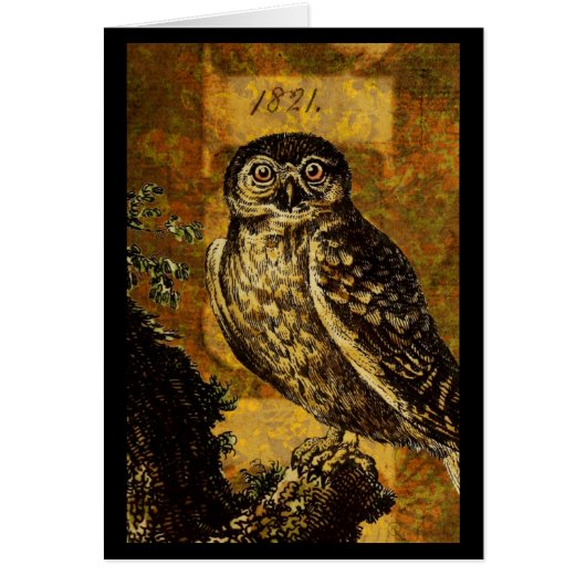 Autumn Owl (Voorkant)