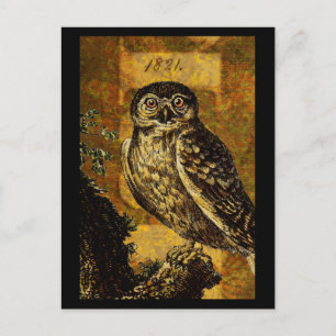 Autumn Owl Briefkaart