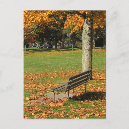 Autumn Park Bench Briefkaart (Voorkant)