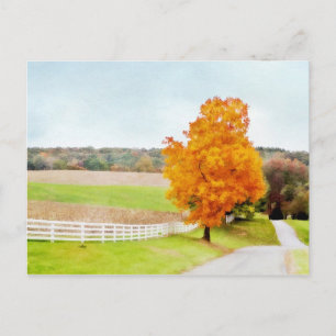 Autumn Pasture Briefkaart