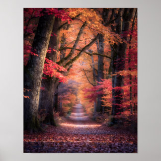 Autumn Path in Vermont Forest Poster