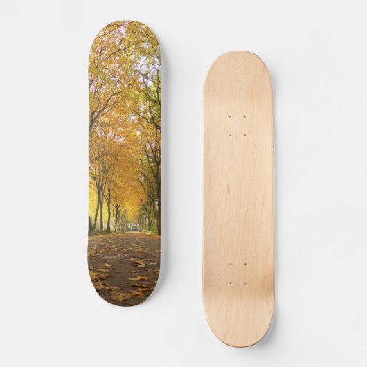 Autumn path with yellow trees and fallen leaves skateboard (Voorkant)