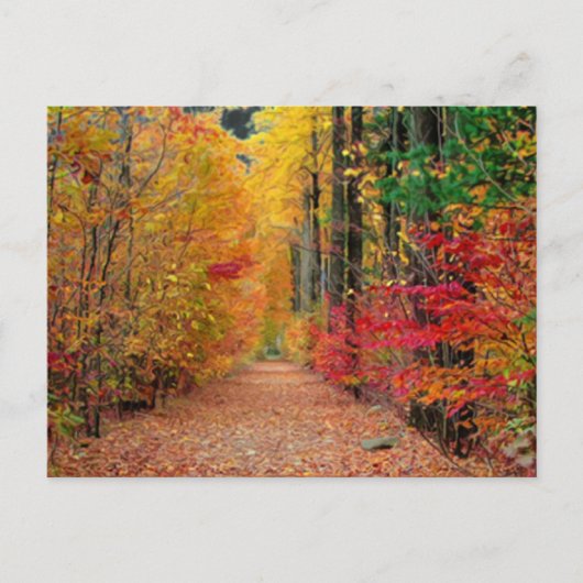 Autumn pathway, briefkaart (Voorkant)