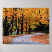Autumn Pathway Poster (Voorkant)