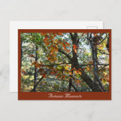 Autumn Photo Briefkaart (Voorkant / Achterkant)