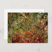 Autumn Pine Needles  Feestdagenkaart (Voorkant / Achterkant)