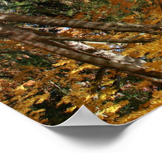 Autumn Pond, Landschap, ondersteboven Poster (Hoek)