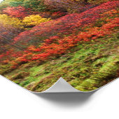 AUTUMN POSTER (Hoek)
