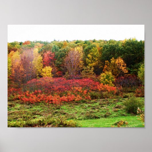 AUTUMN POSTER (Voorkant)
