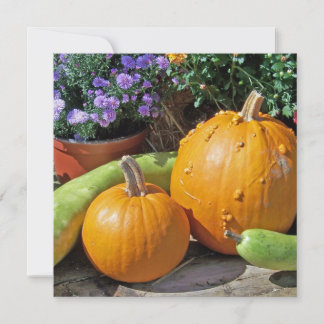 Autumn Pumpkins and Flowers