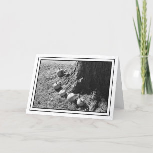 Autumn Pumpkins Blank Wenskaart Kaart