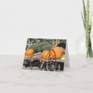 Autumn Pumpkins Note Cards Kaart