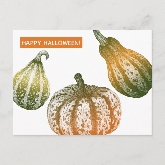 Autumn Pumpkins Stipple Drawing Briefkaart (Voorkant)