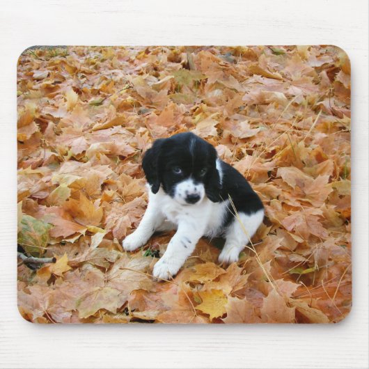 Autumn Puppy Muismat (Voorkant)