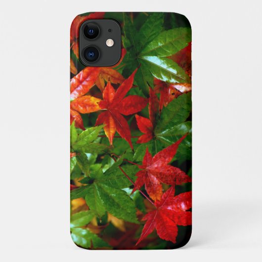 Autumn Rain Case-Mate iPhone Case (Achterkant)