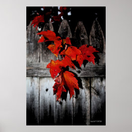 Autumn Red Poster